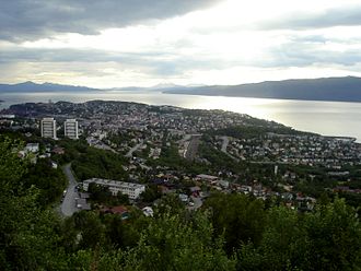 Narvik (town)